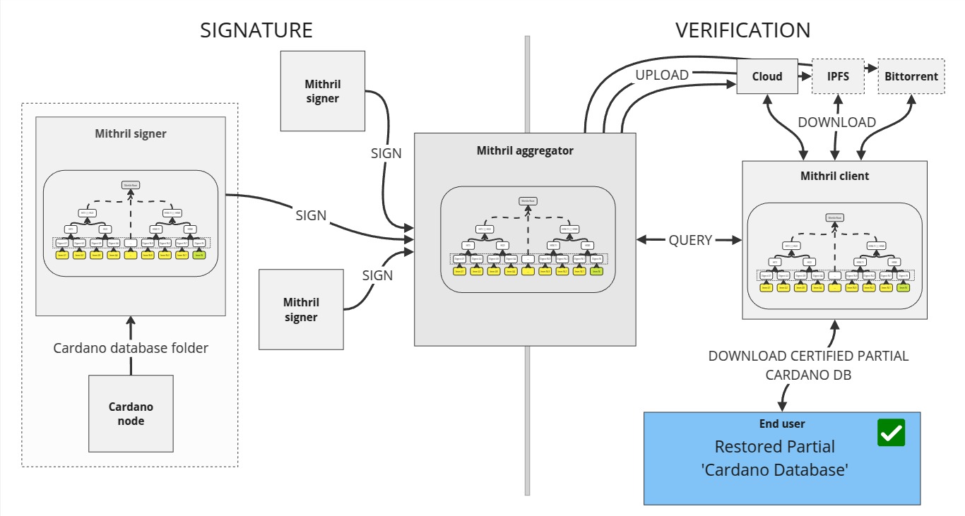 Signature and verification of the Cardano database