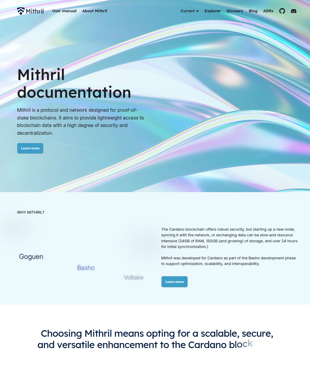 The new homepage